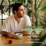 دانلود آهنگ میثم حسابدان بهار دلم